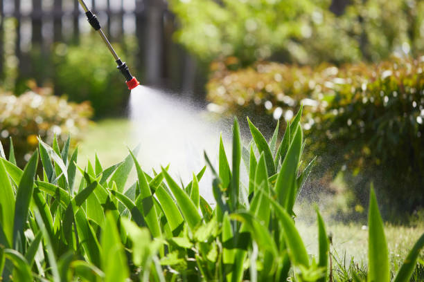 24/7 Emergency Cockroach Control experts in Slaton, TX